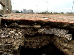 Cầu làm bằng xốp và cát giữa Thủ đô: 'Không được bao che cho nhà thầu'