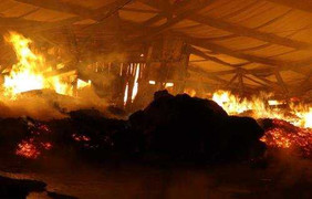 Đám cháy rực trời trong khu công nghiệp giữa đêm mưa