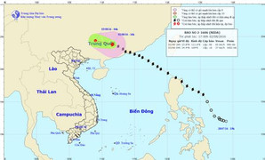 Diễn biến mới nhất về hướng đi của bão số 2