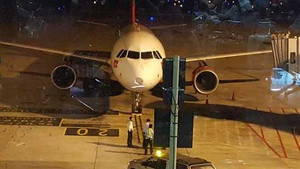 Tranh cãi việc lắp đặt hệ thống chống chim hơn ngàn tỷ đồng