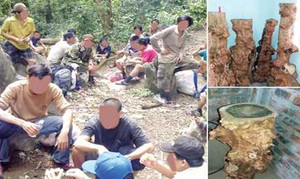 Theo chân đại gia săn 'báu vật phong thủy'