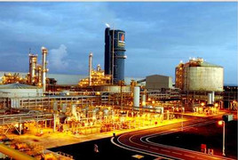 Đạm Ninh Bình lỗ nặng, Đạm Phú Mỹ lãi lớn