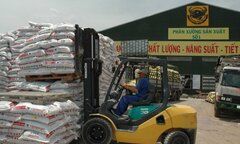 Tập đoàn Hóa chất sắp nhận gần 75 tỷ tiền mặt từ Phân bón Bình Điền