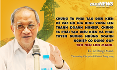 TS Lê Đăng Doanh: Doanh nghiệp dân tộc sẽ giúp nền kinh tế tăng trưởng bền vững