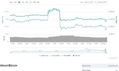 Giá Bitcoin sẽ dao động trong khoảng 3000 – 5000 USD?