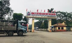 Gang thép Thái Nguyên: Lợi nhuận, doanh thu cùng lao dốc