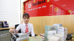 SeABank dự kiến tăng vốn điều lệ lên 9.369 tỷ đồng