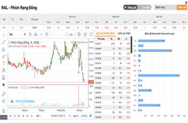 Giá cổ phiếu Rạng Đông xuống mức thấp nhất 3 năm