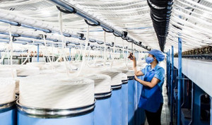 Cổ phiếu FTM giảm sàn phiên thứ 26 liên tiếp, cổ đông choáng váng