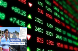 Cổ phiếu doanh nghiệp liên quan ông Trịnh Sướng giảm ‘sập sàn’