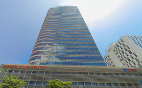 Petroland ‘thay ghế’ loạt lãnh đạo cấp cao, cổ phiếu tăng kịch trần