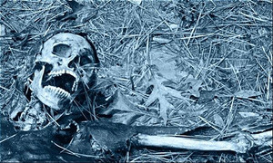 Tiến trình phân hủy của cơ thể người sau khi chết