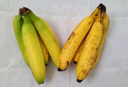 Cách phân biệt chuối chín tự nhiên và chuối ép chín bằng hoá chất