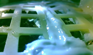 Mầm cây của Trung Quốc trên vùng tối Mặt Trăng chết trong đêm lạnh -170 độ