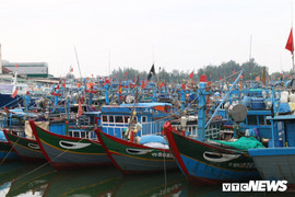 Hội Nghề cá yêu cầu Trung Quốc bồi thường do gây chìm tàu ngư dân ở Hoàng Sa