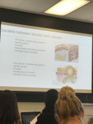 Gọi bào thai là ký sinh trùng, giáo sư Mỹ bị chỉ trích gay gắt