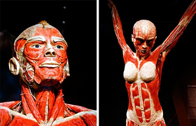 10 khả năng siêu việt của cơ thể người không phải ai cũng biết