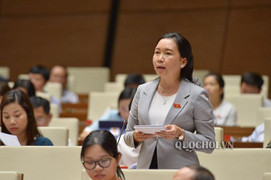 Đại biểu Quốc hội: Bịt lỗ hổng chuyển nhượng đất cho người nước ngoài