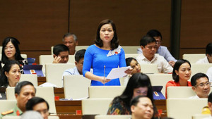 Đại biểu Quốc hội: 'Kỷ luật giáng chức dễ dẫn đến nể nang, né tránh'