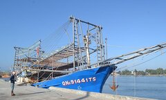 Hội Nghề cá phản đối Trung Quốc cướp mực của ngư dân Quảng Nam