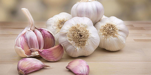 Những món không nên ăn với tỏi