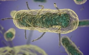 Những đại dịch gây chết chóc kinh hoàng trong lịch sử loài người