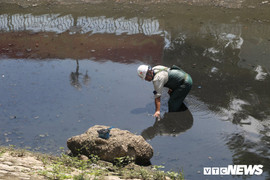 Công bố kết quả làm sạch sông Tô Lịch sau 3 tuần thử nghiệm công nghệ Nhật Bản