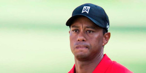 Tiger Woods sẽ không tham dự giải Safeway Open 2016
