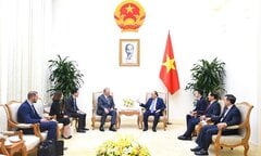 Thủ tướng tiếp cựu Phó Tổng thống Mỹ Al Gore