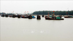 Thái Bình cấm tàu, thuyền ra khơi, ứng phó với bão Mangkhut