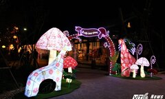 Ảnh: Rực rỡ lễ hội ánh sáng phong cách Nhật Bản lần đầu xuất hiện tại Quảng Ninh