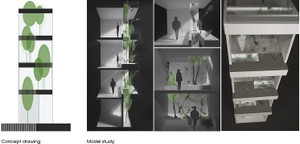 Hướng dẫn cách mang cả 'vườn cây' vào nhà bất chấp không gian chật hẹp