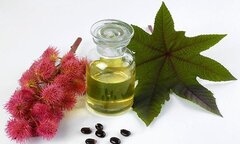 Dưỡng dài mi với nguyên liệu thiên nhiên dễ kiếm, dễ dùng lại hiệu quả