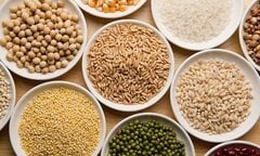 Công thức làm bột ngũ cốc cân bằng nội tiết được các chị em rầm rộ chia sẻ