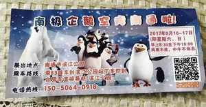 Đến công viên ngắm chim cánh cụt, các em nhỏ tá hỏa vì cái mà người ta trưng bày