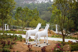 Khám phá khu sinh thái chỉ cách Hà Nội 30km giúp con trẻ trải nghiệm sinh tồn cực thú vị