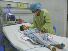 Lào Cai xuất hiện ổ dịch viêm não Nhật Bản