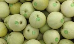 Dưa trong nước ế, mỗi năm Việt Nam vẫn nhập hàng nghìn tấn dưa Trung Quốc