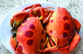 Vì sao cua mặt trăng được nhiều người ở TP.HCM lùng mua?