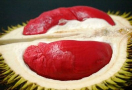 Sầu riêng ruột đỏ về Việt Nam đội giá 17 lần