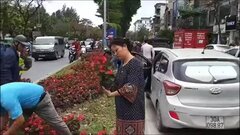 Những kẻ 'hôi' hoa làm gì có tư cách mà chơi hoa