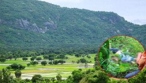 Tìm thấy thi thể nam thanh niên mất tích khi lên núi Cấm Sơn