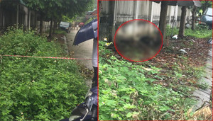 Phát hiện thi thể phụ nữ cháy đen bên vệ đường ở Lạng Sơn