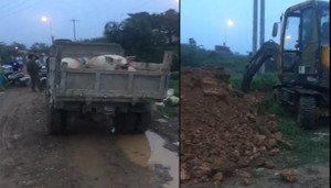 Chính quyền xã ở Hà Nội chôn lợn chết ngay gần khu dân cư