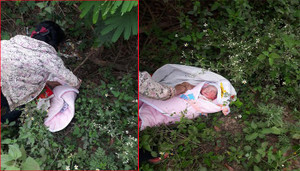 Bé gái sơ sinh bị vứt bỏ ở bìa rừng Sơn La