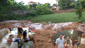 Bị cơ quan chuyên môn thờ ơ, người dân buộc phải chôn lợn dịch tả ngay tại nhà