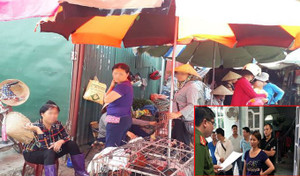 Bắt giam mẹ nữ sinh giao gà ở Điện Biên: Tiểu thương bán gà chợ Mường Thanh nói gì?