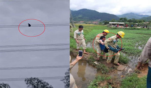 Nhân chứng kể phút toát mồ hôi hột giải cứu nam thanh niên ngồi vắt vẻo trên đường điện cao gần 100m