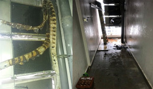 Đun bếp gas công nghiệp gây cháy, chủ căn hộ chung cư lén lút tự dập lửa