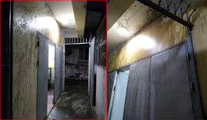 Một tháng 2 lần bị ném 'bom bẩn' vào nhà, ba bố con hoảng loạn kêu cứu